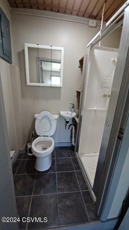 bathroom with walk in shower, tile patterned flooring, and toilet