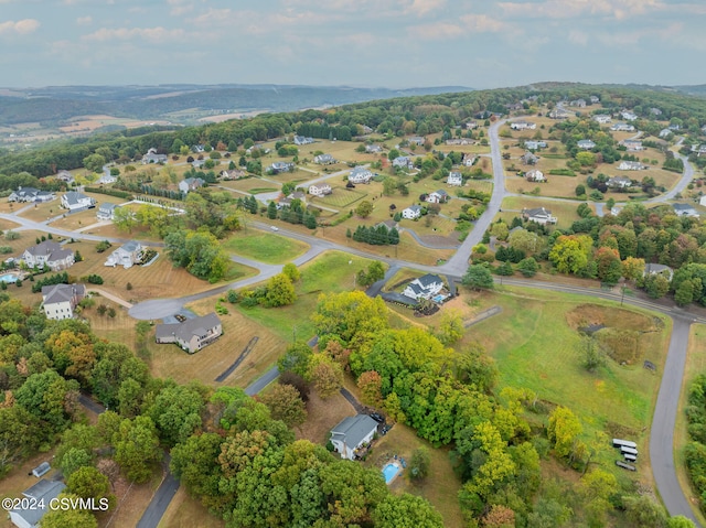 drone / aerial view