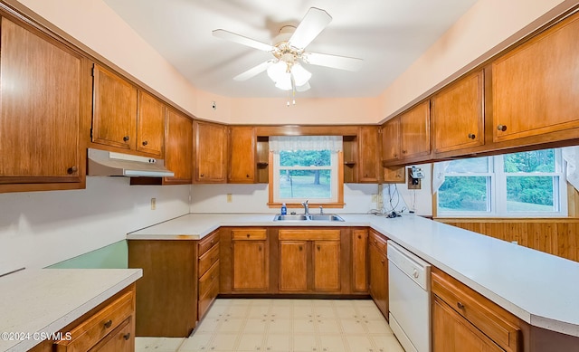 kitchen featuring ceiling fan, white dishwasher, plenty of natural light, and sink