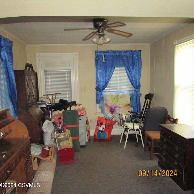 recreation room featuring ceiling fan, crown molding, and carpet floors