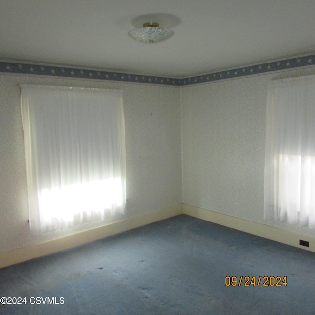 empty room with a wealth of natural light and carpet floors