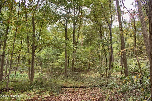 Mountain Rd, Paxinos PA, 17860 land for sale