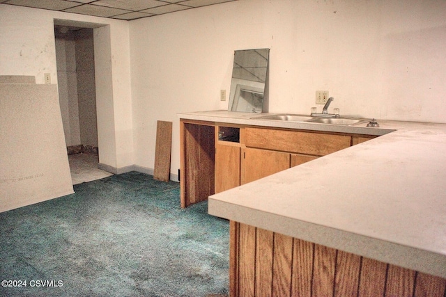 kitchen featuring a drop ceiling, sink, and dark carpet