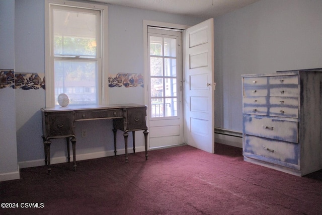 interior space featuring multiple windows and carpet floors