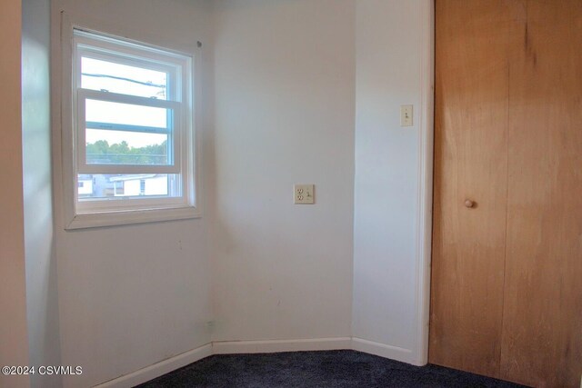 spare room with carpet floors