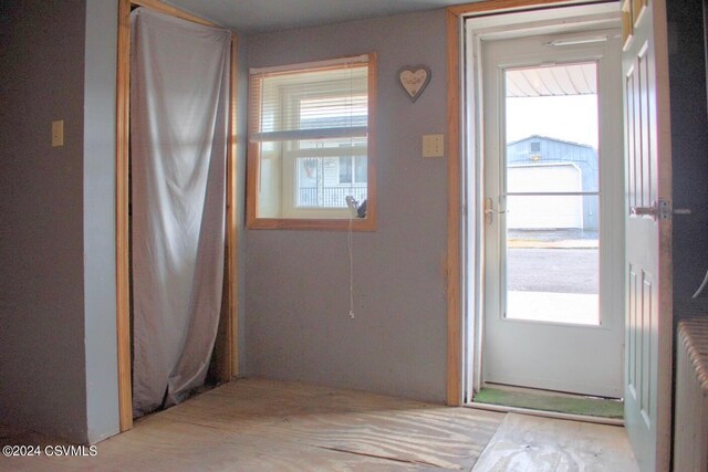 entryway featuring a wealth of natural light