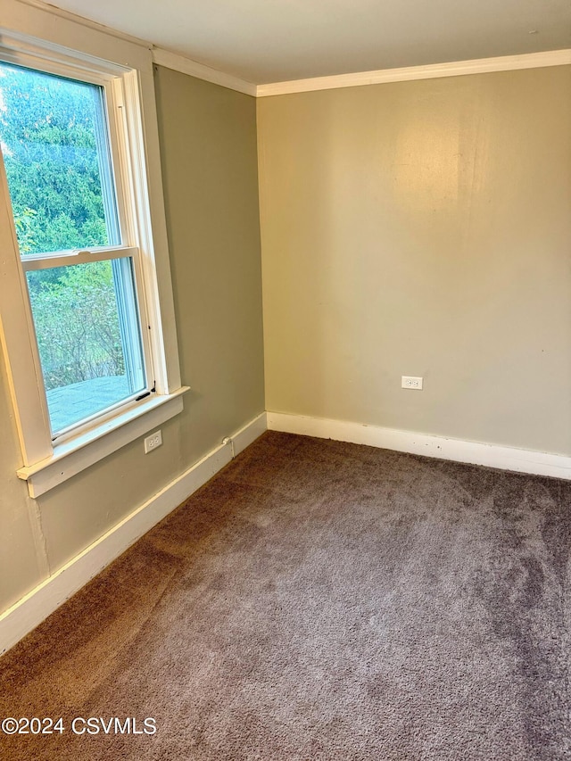 carpeted empty room featuring crown molding