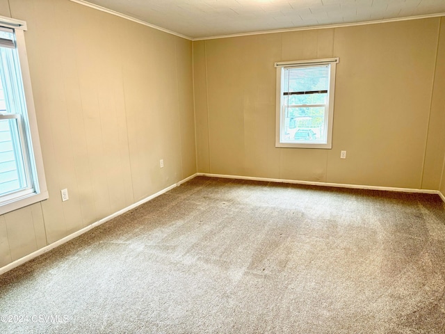 empty room with crown molding and carpet flooring