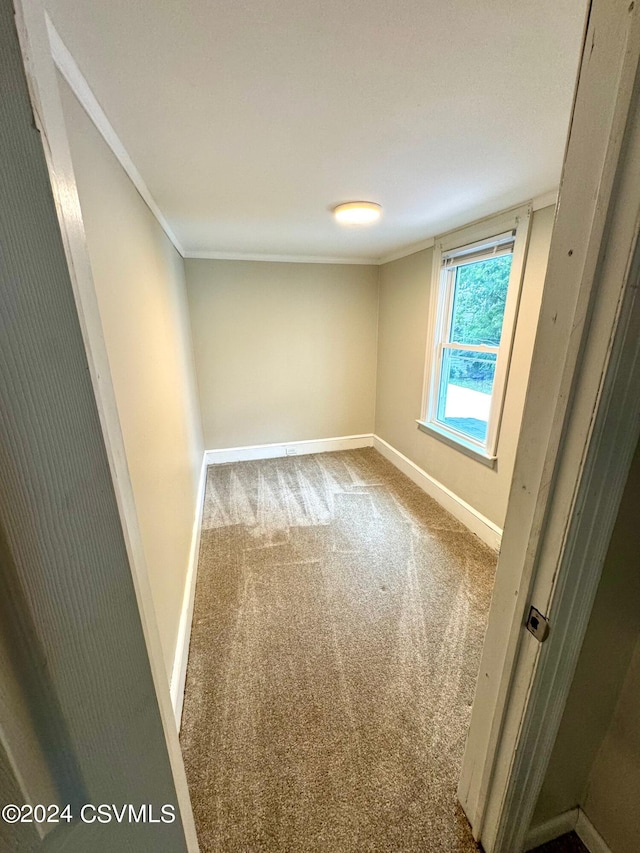 carpeted empty room with ornamental molding