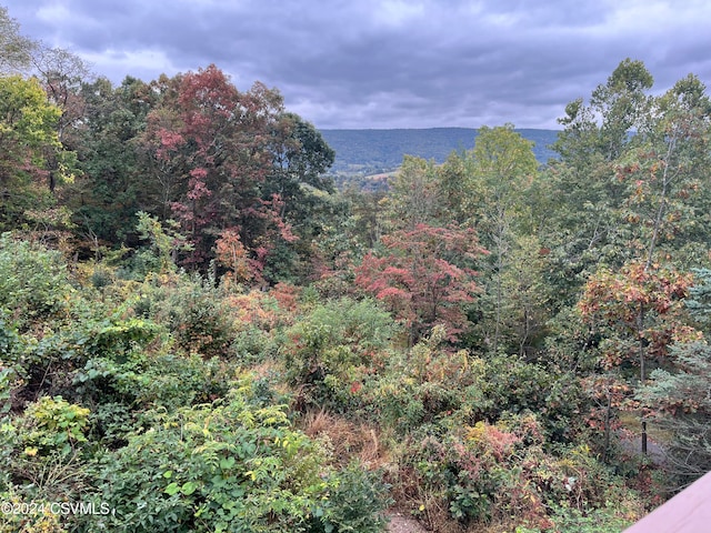 property view of mountains with a forest view