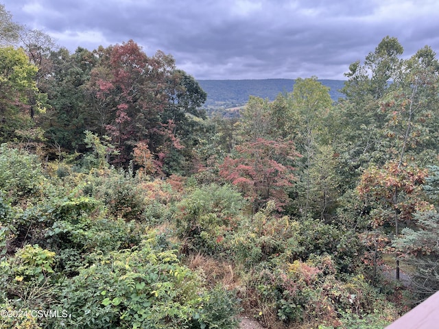 mountain view featuring a view of trees
