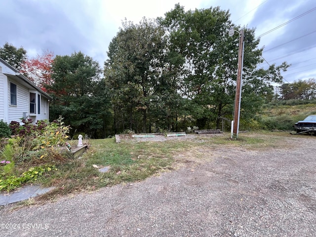 view of yard with a vegetable garden