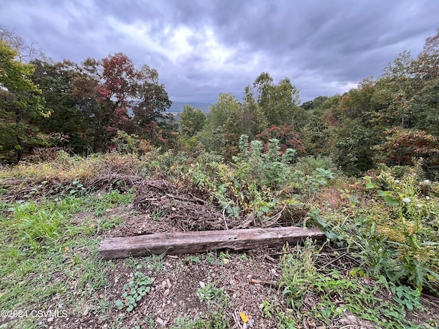 view of landscape featuring a view of trees