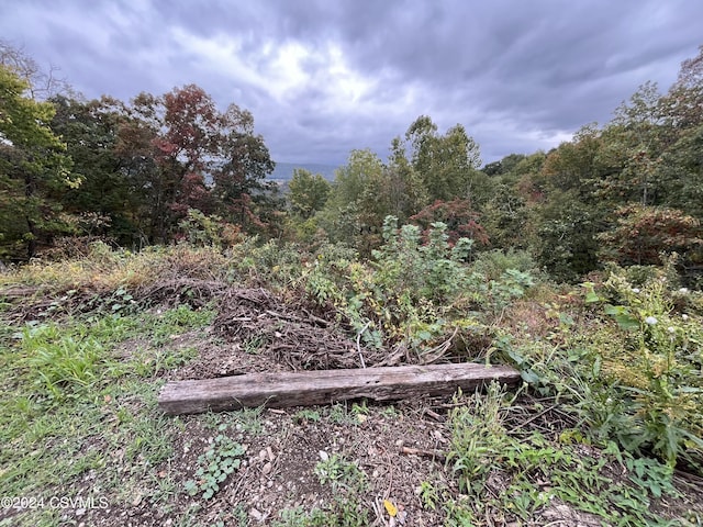 view of landscape featuring a forest view
