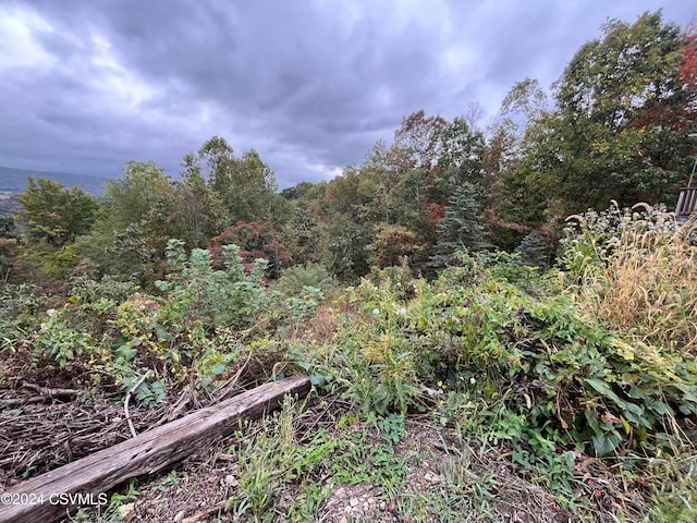 view of nature with a wooded view