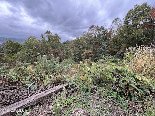 view of nature featuring a wooded view
