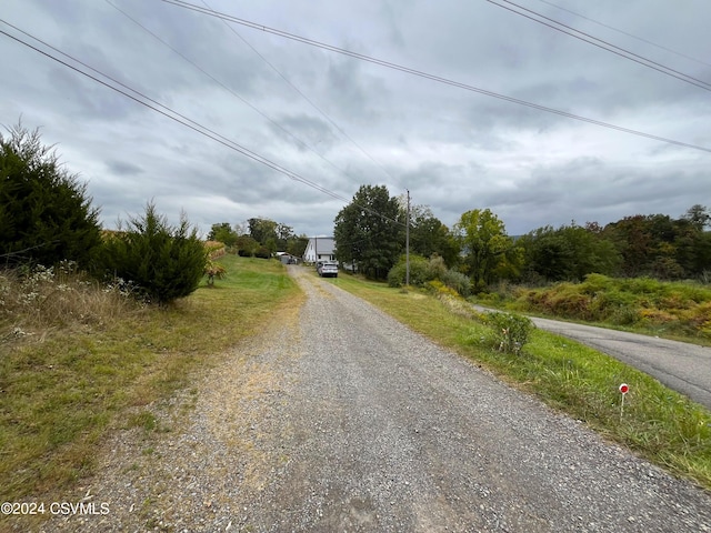 view of road featuring driveway