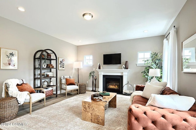 living room featuring wood-type flooring