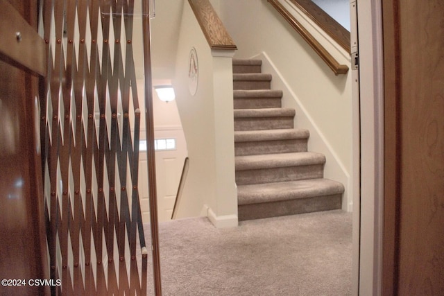 stairs featuring carpet floors