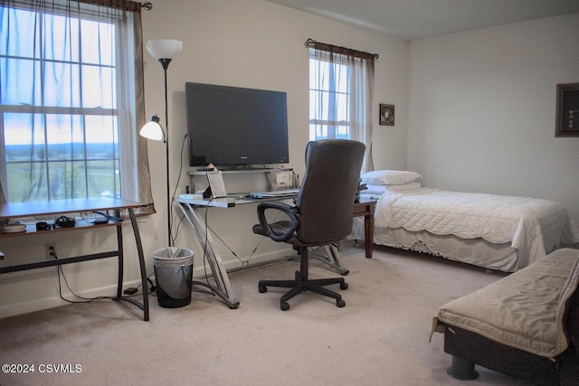 view of carpeted bedroom