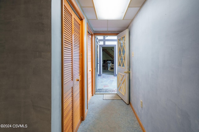 hallway with carpet floors and a paneled ceiling