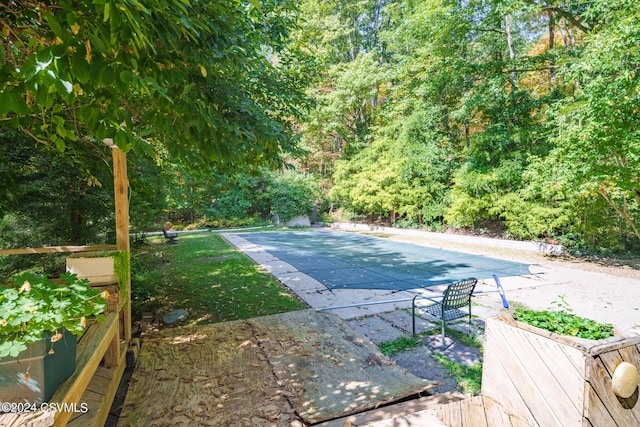 view of pool with a patio