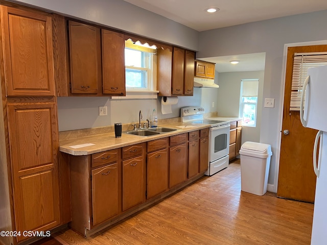 kitchen with light wood-type flooring, a healthy amount of sunlight, white appliances, and sink