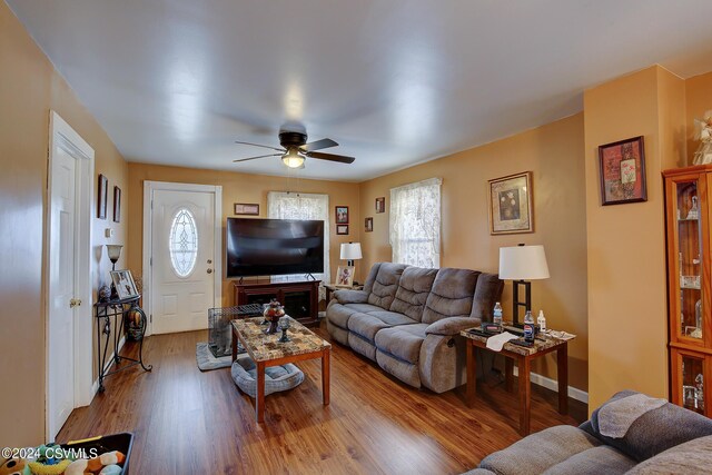 living room with wood-type flooring, ceiling fan, and plenty of natural light