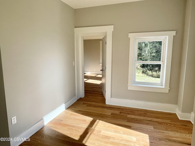 interior space with light wood-type flooring