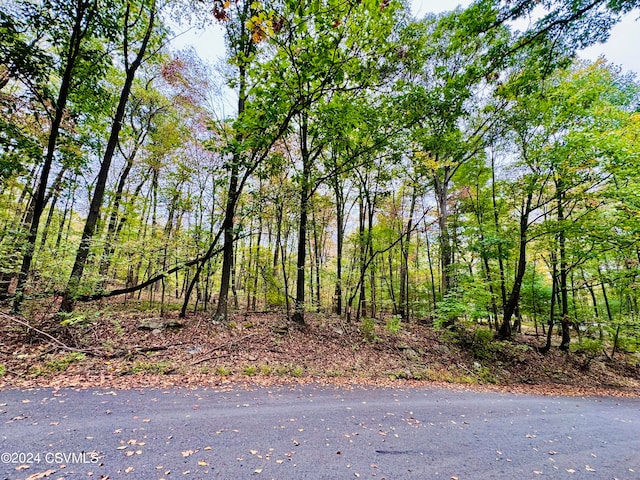 Park Rd, Coal Township PA, 17866 land for sale