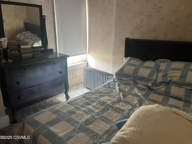 1442 Hemlock St, Coal Township, PA 17866 - bedroom with radiator heating unit
