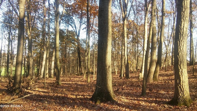 LOT4 Milroy Rd, New Columbia, PA 17856 - photo 1