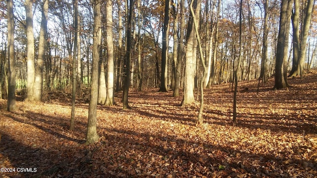 LOT4 Milroy Rd, New Columbia, PA 17856 - photo 2