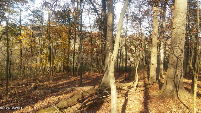 Listing photo 3 for LOT4 Milroy Rd, New Columbia PA 17856