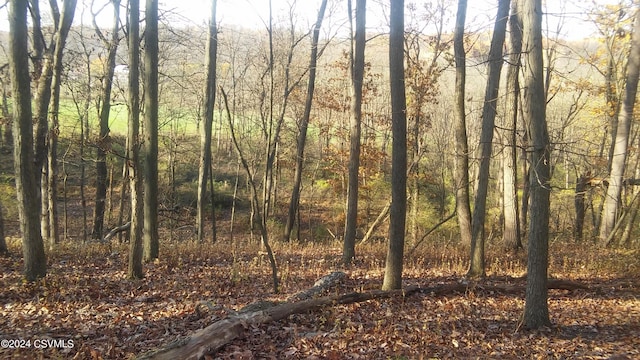 LOT4 Milroy Rd, New Columbia, PA 17856 - photo 4
