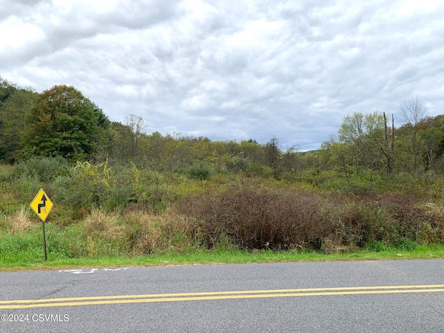 LOT4 Milroy Rd, New Columbia, PA 17856 - photo 8