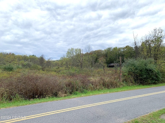 LOT4 Milroy Rd, New Columbia, PA 17856 - photo 9