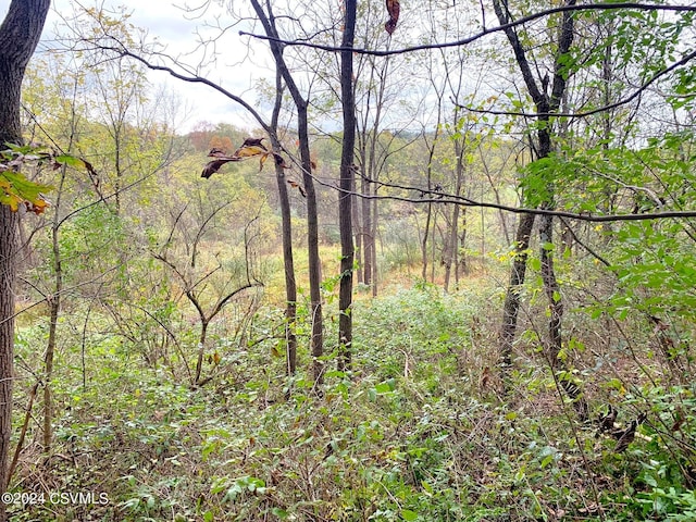 LOT4 Milroy Rd, New Columbia, PA 17856 - photo 6