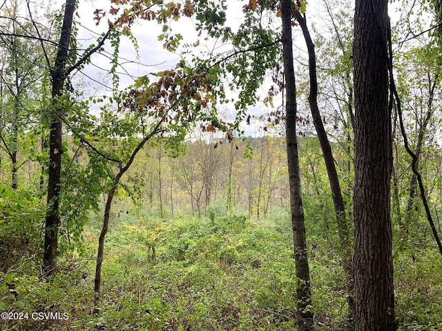 LOT4 Milroy Rd, New Columbia, PA 17856 - photo 7