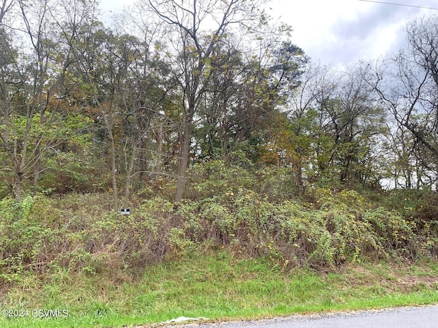 LOT4 Milroy Rd, New Columbia, PA 17856 - photo 10