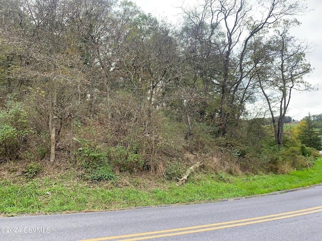 LOT4 Milroy Rd, New Columbia, PA 17856 - photo 11