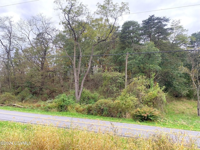LOT4 Milroy Rd, New Columbia, PA 17856 - photo 12