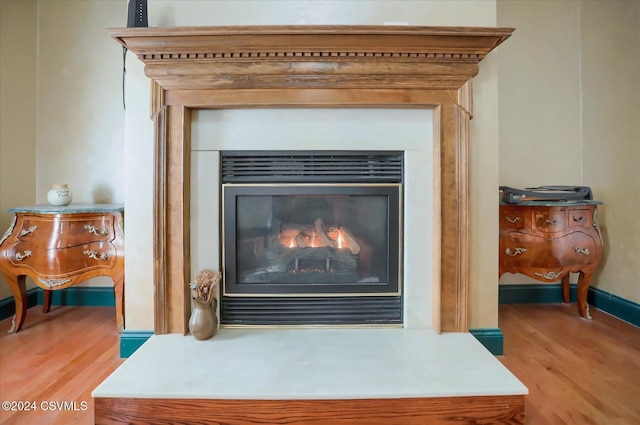 details featuring a glass covered fireplace, baseboards, and wood finished floors