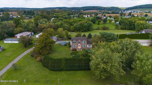 drone / aerial view