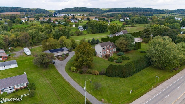 bird's eye view