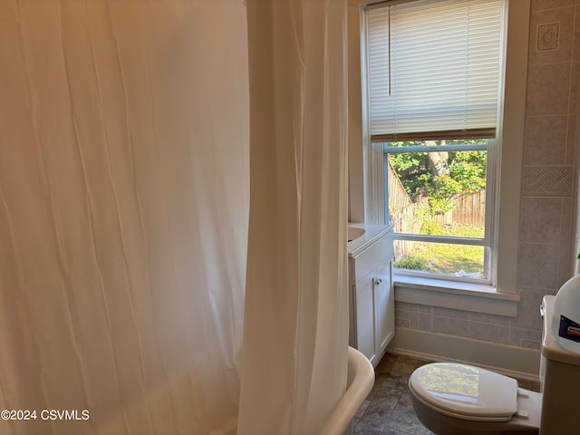 bathroom featuring vanity and toilet