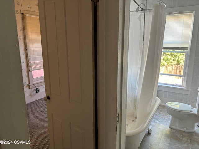 bathroom with a shower with shower curtain and toilet