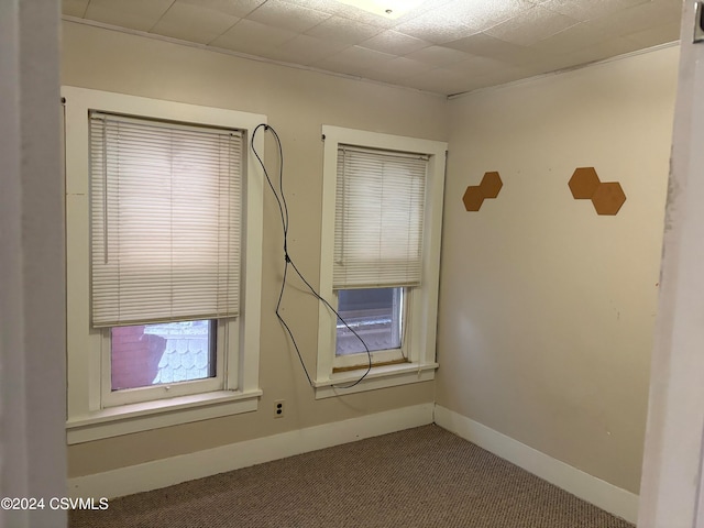 unfurnished room with carpet floors