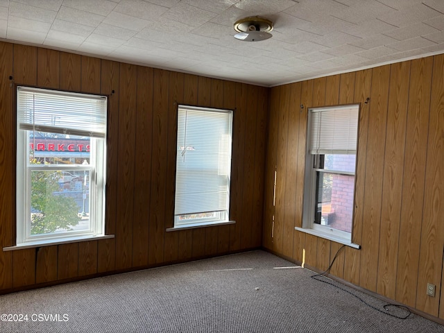 carpeted empty room with wooden walls