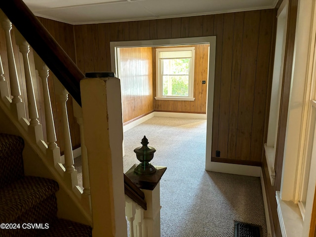 hallway featuring wood walls and carpet flooring